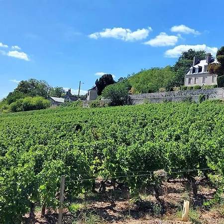 Le Bauchant / Parc Grammont * Tours